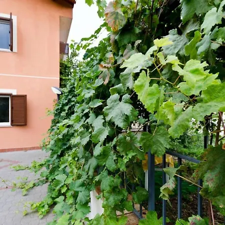 Via Paoli Appartamento *